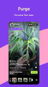 Screenshot 21
